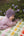 Cashmere Baby Bonnet, Purple Rain with Stoneage Pom
