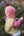 Cashmere Baby Bonnet, Dusky Pink + Chianti Pom